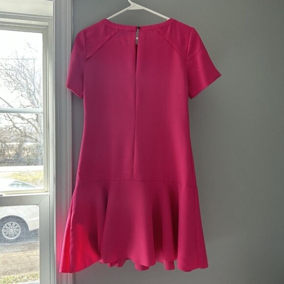 Banana Republic Drop Waist Dress Womens Barbie Pink Flounce Hem Size 0 - Picture 2 of 8